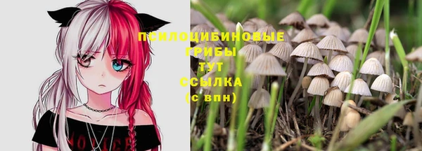 тгк Белокуриха